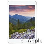 Ремонт Apple iPad mini 3 в Калининграде