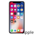 Ремонт iPhone X(10) в Калининграде